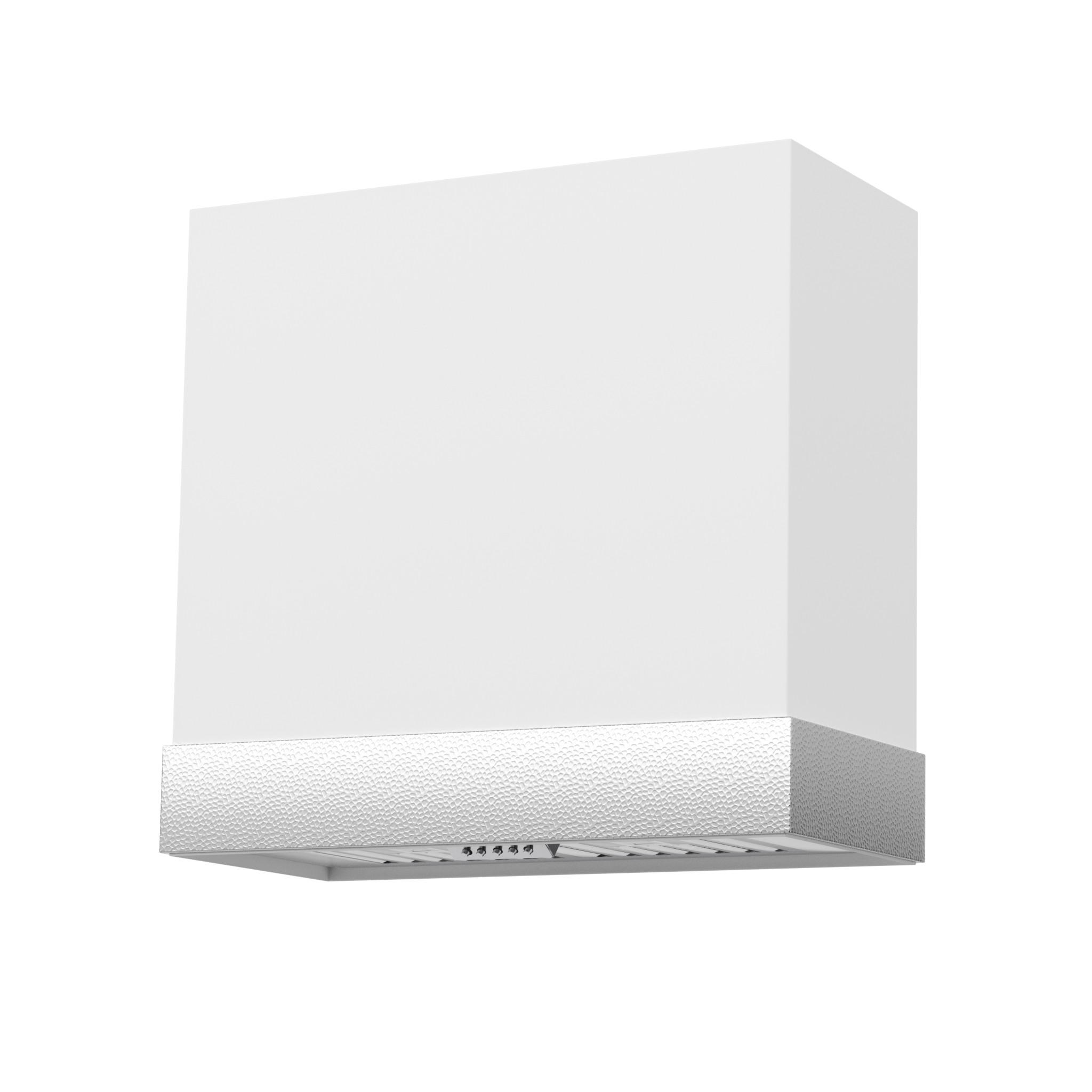 Akicon 30" Stainless Steel Wall Mount Range Hood with 600 CFM Vent Hood