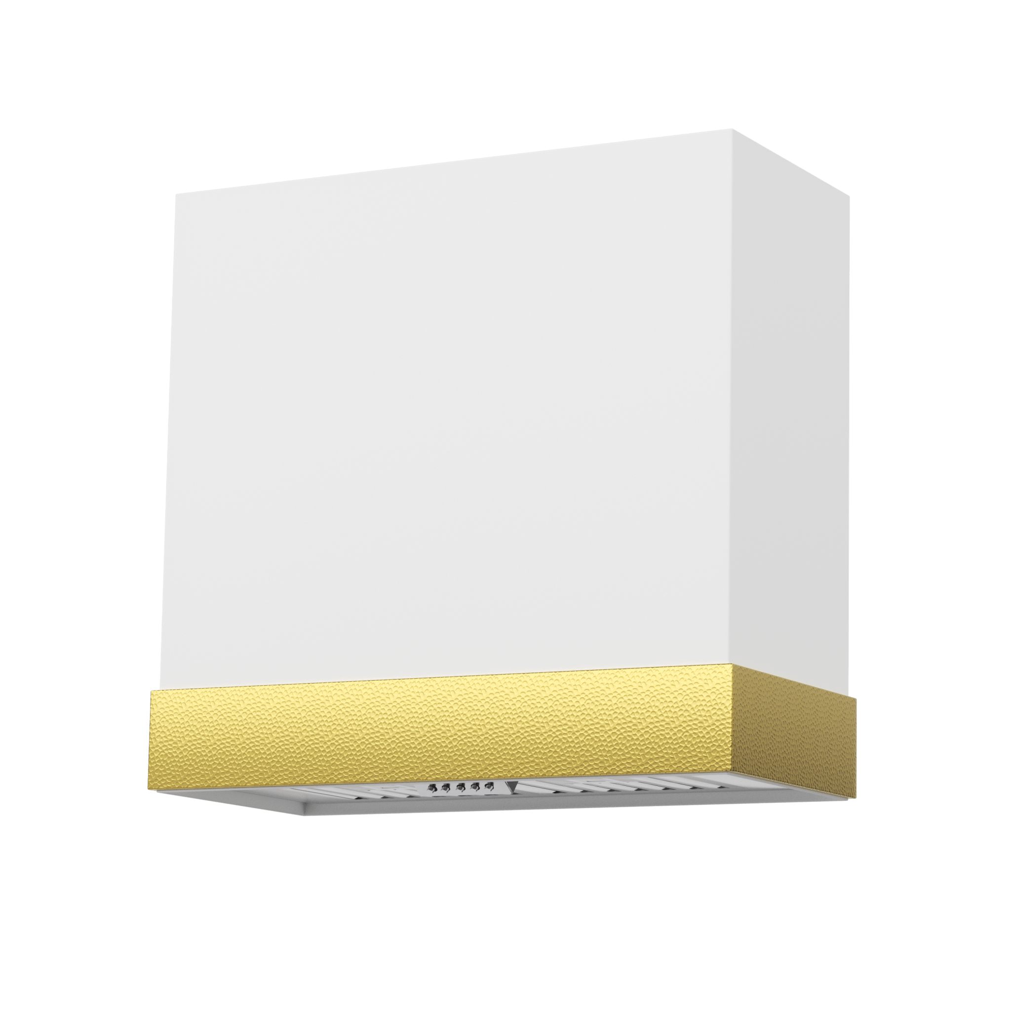 Akicon 30" Stainless Steel Wall Mount Range Hood with 600 CFM Vent Hood