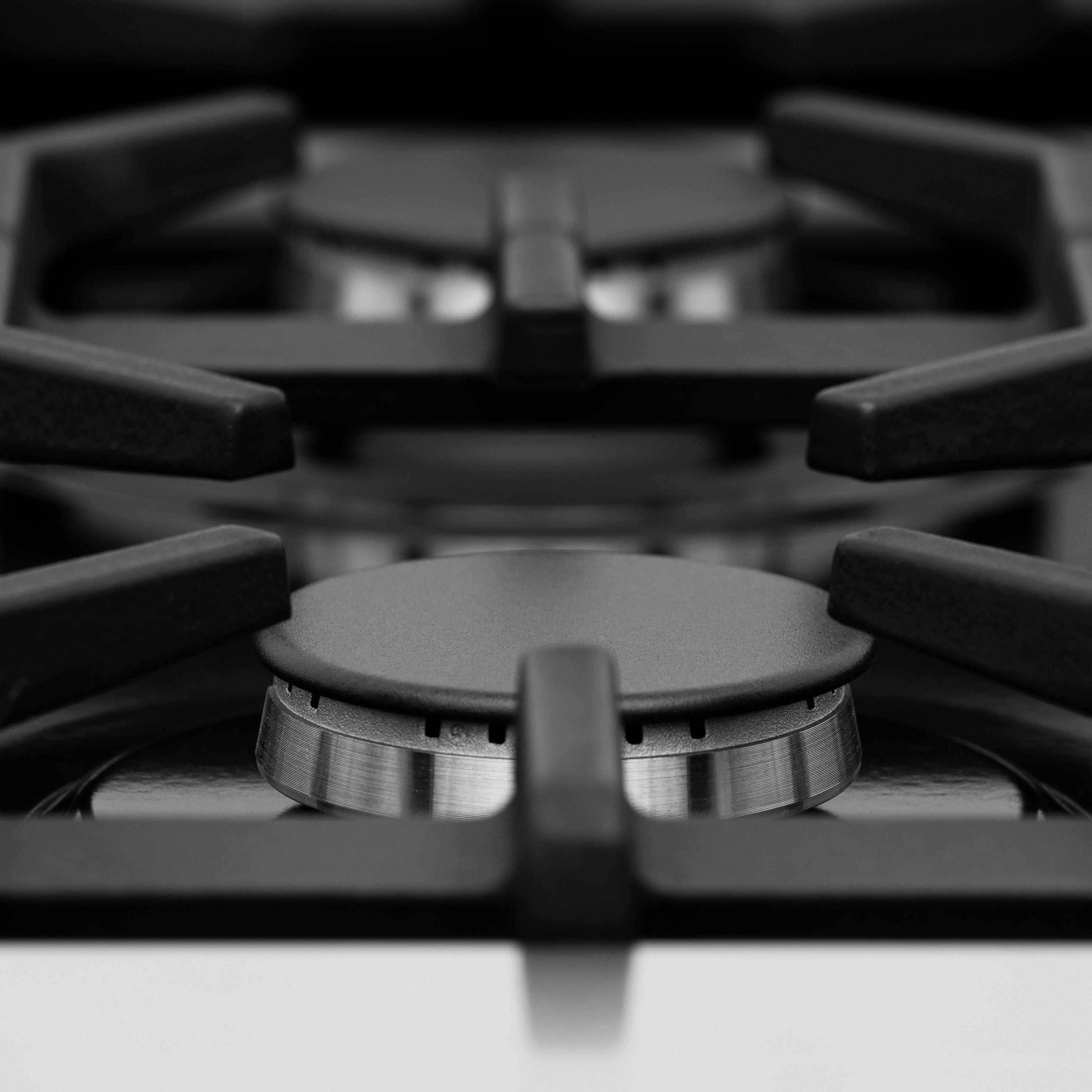48" Gas on Gas Range in Stainless, Dura Snow Doors, RG-SN-48